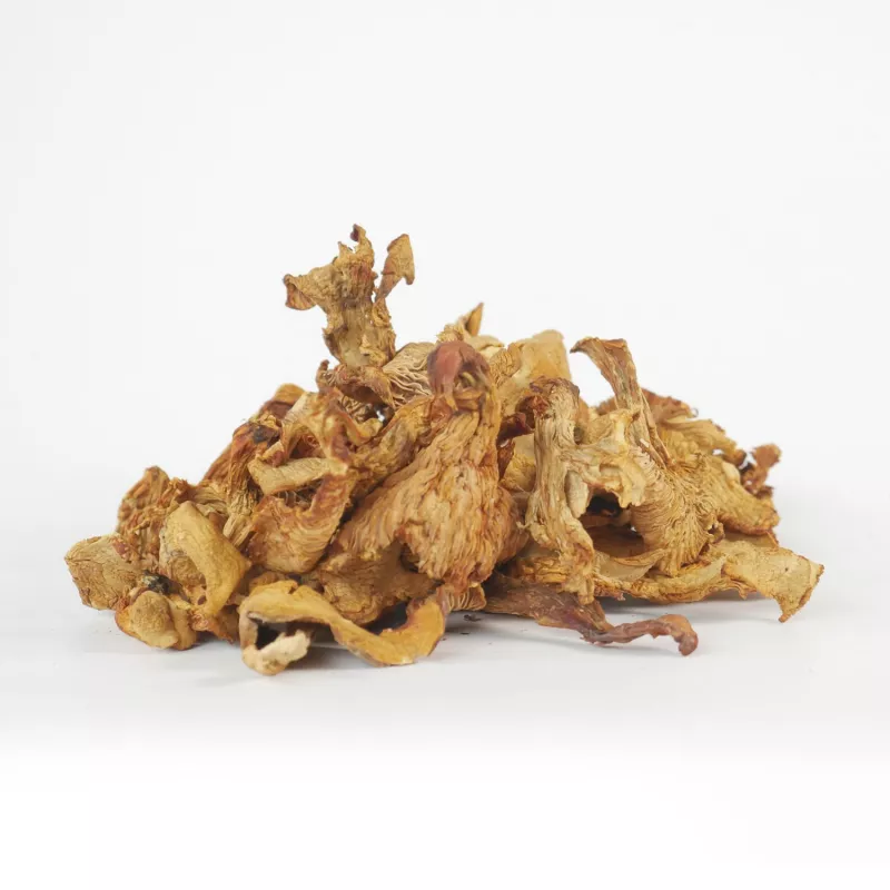 Girolles séchées déshydratées